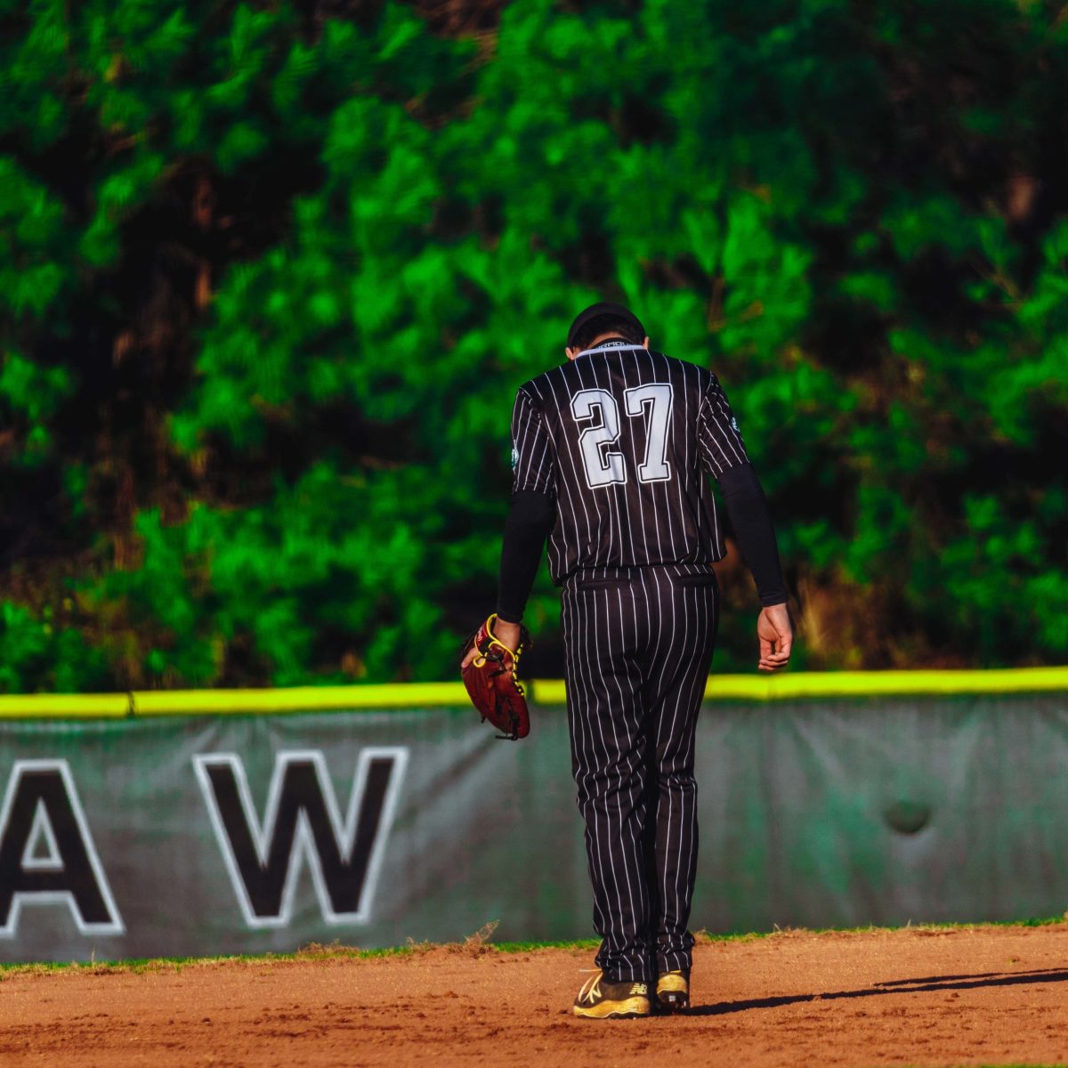 Willie_Prince_Kennesaw_Mountain_baseball.34